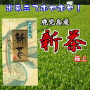 《新茶入荷!》 送料込 新茶 2025年産 鹿児島産 新茶 極上 100g 鹿児島 鹿児島新茶 お茶 茶 日本茶 お土産 ギフト 母の日 父の日 若葉 新芽 出来立て 春 新緑 旬の香り 令和7年産 ネコポス発送 送料無料