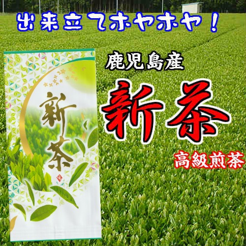 《新茶入荷》 送料込 新茶 2024年産 