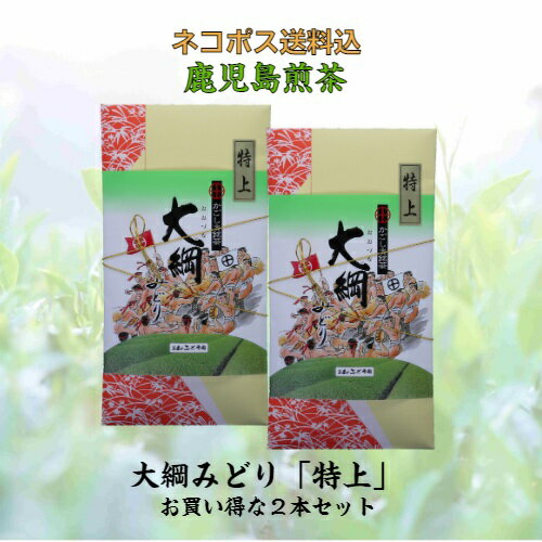 楽天お茶のぶどう園500円OFFクーポン 《新茶入荷》 お茶 茶 緑茶 送料無料 お茶のぶどう園 大綱みどり 特上 100g × 2本 セット 日本茶 鹿児島茶 煎茶 茶葉 鹿児島 薩摩川内 さつま つん 川内大綱引 ギフト プレゼント 贈り物 お歳暮 お中元 土産 母の日 父の日 御挨拶 敬老の日 祝敬老