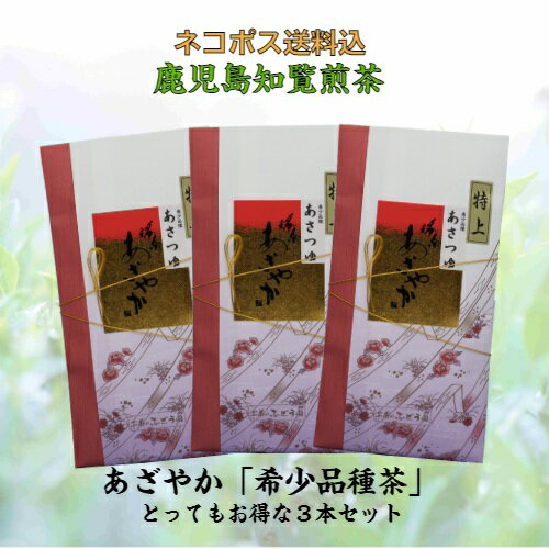 新茶 入荷 お茶 茶 緑茶 送料無料 お茶のぶどう園 あざやか 100g × 3本 セット 日本茶 ちらん茶 知覧茶 希少品種 あさつゆ 朝露 煎茶 天然玉露 贈り物 ギフト プレゼント お歳暮 お中元 土産 母の日 父の日 御挨拶 敬老の日 祝敬老