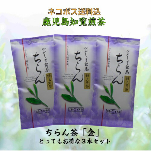 お茶 茶 知覧茶 ちらん茶 送料無料 お茶のぶどう園 ちらん茶 金 特上煎茶 100g × 3本 セット 知覧 ちらん 日本茶 鹿児島 鹿児島茶 煎茶 緑茶 ギフト プレゼント 贈り物 お歳暮 土産 母の日 父の日 御挨拶 敬老の日 祝敬老