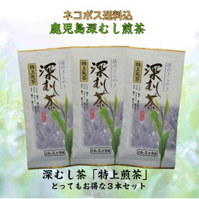 お茶 茶 深むし茶 深蒸し茶 送料無料 お茶のぶどう園 深むし茶 紫 特上煎茶 100g×3本 セット 深むし 日本茶 緑茶 鹿児島茶 ギフト プレゼント 贈り物 お歳暮 お中元 土産 煎茶 母の日 父の日 御挨拶 濃いごいと 敬老の日 祝敬老