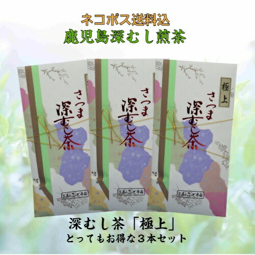 《3000円で500円OFFクーポン》 新茶 でお届け お茶 茶 深むし茶 深蒸し茶 送料無料 お茶のぶどう園 深むし茶 極上 100g×3本 セット 深むし 日本茶 緑茶 鹿児島茶 ギフト プレゼント 贈り物 お歳暮 お中元 土産 煎茶 母の日 父の日 御挨拶 濃いごいと 敬老の日 祝敬老