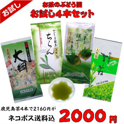 限定 お試し ポッキリ セット お茶 茶 ちらん茶 大綱みどり かりがね 深みどり 送料無料 お茶のぶどう園 お試し 100g × 4本 セット 飲み比べ 日本茶 煎茶 抹茶 鹿児島茶 初めて 上煎茶 ギフ ト プレゼント 贈り物 お歳暮 お中元 土産