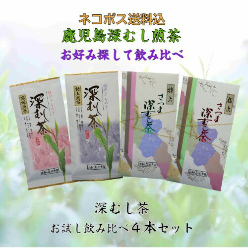 《500円OFFクーポン》 飲み比べ お茶 茶 深むし茶 深蒸し茶 送料無料 お茶のぶどう園 深むし茶 お試し 100g × 4本 セット 深むし 日本茶 緑茶 煎茶 鹿児島茶 茶葉 tea リーフ 深むし煎茶 初めて ギフト プレゼント 贈り物 お歳暮 土産 御挨拶 濃いごいと 敬老の日 祝敬老