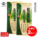 【ポイント10倍！】ゆたかみどり 鹿児島茶 (100g×2袋)200g 緑茶 お試し ゆたかみどり茶 エピガロカテキン 煎茶 深蒸し茶 深むし茶 山城物産　九州産 水出し