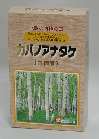 ガバノアナタケ　ティーパック5g×32袋-2箱 送料無料