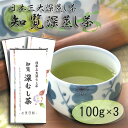 送料無料 まとめ買い 5と0のつく日 P10倍 知覧深蒸し茶 100g 3本セット 日本三大深蒸し茶 知覧 鹿児島 リラックス ギフト 贈り物 深蒸し茶