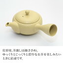 子供急須110ml 【急須】 tea pot【日本茶セレクトショップ】 静岡 chagama