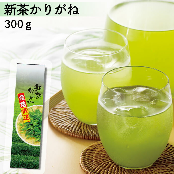 【2024新茶】新茶かりがね（300g）茎