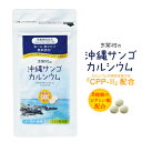 　 　　 　 　 　　 　　 　　 　　 　　 　 サンゴは天然のカルシウム含有量が多く、その主成分は高い体内吸収率で知られている炭酸カルシウム。その吸収をさらに助けるため、たんぱく質由来の成分CPP（カゼインホスホペプチド）やビタミンDを配合。慢性的なカルシウム不足といわれている日本人の健康づくりをサポートします。 ほんのり甘いヨーグルト風味のチュアブルタイプサプリメントなので、お子様からご年配の方まで水無しで召し上がっていただけます。 名称 カルシウム含有食品 内容量 46.5g（500mg×93粒） 原材料名 乳果オリゴ糖、還元麦芽糖、硬化菜種油、ボタンボウフウ粉末、乳たんぱく分解物（乳成分を含む）／サンゴカルシウム、キシリトール、香料、甘味料（甘草）、ビタミンC、ナイアシン、パントテン酸カルシウム、ビタミンB2、ビタミンB6、ビタミンB1、葉酸、ビタミンD、ビタミンB12 メーカー（製造） 株式会社日本薬研 製造所住所 大分県中津市本耶馬渓町樋田227-2 販売者・広告文責 株式会社お茶村　電話：0120-14-0014 区分 日本製・食品 召し上がり方 1日3粒を目安に噛んでお召し上がり下さい。 保存方法 直射日光・高温多湿を避けて、涼しい所に保存してください。 ご注意 原材料にアレルギーをお持ちの方はお避けください。薬と併用される場合は医師にご相談ください。万一、体質に合わない場合は、すみやかにご使用を中止ください。乳幼児・小児は本品の摂取を避けて下さい。商品には万全を期しておりますが、お気付きの点などございましたらご連絡ください。 賞味期限 製造日から2年 　　　 　 アレルギー物質：乳 【ご注文について必ずご確認ください。】 ■この商品はメール便（日本郵便）でのお届けと、宅配便でのお届けをお選びいただけます。 ■メール便でお届けできるのは3袋までです。 ■メール便でのお届けの場合、郵便受けへ直接投函させて頂きます。お届け日時の指定はできませんので予めご了承下さい。また、お支払い方法は代金引換以外をご選択ください。代金引換を選択されていた場合は、宅配便でお送りさせていただきますので予めご了承下さい。 ■代金引換をご希望の場合、配送方法は宅配便をご選択ください。 ■お名前、ご住所に誤りがありますとお届けすることができませんので必ずご確認下さい。（アパート・マンション名等も省略せずにご記入下さい。） なた豆 なたまめ 歯磨き ハミガキ はみがき 桑粒 桑の葉 杜仲 カルシウム もろみ酢 黒酢 アミノ酸 クエン酸 美容 健康 ダイエット 代謝アップ すっきり 口腔ケア 口内ケア 口臭対策 サプリ サプリメント チュアブルタイプ ソフトカプセル 小粒 無着色 無香料 ラクトフェリン まとめ買い セット 自宅用 家庭用 ギフト プレゼント 贈答用 贈り物 まとめ買い 家族 祖父 祖母 父 母 子ども