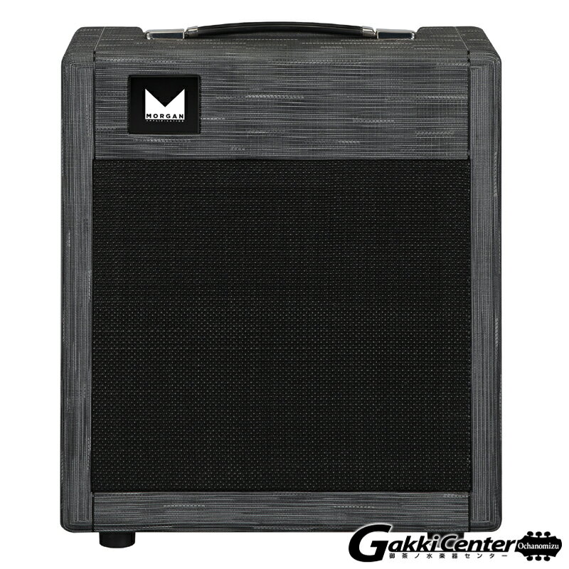 Morgan Amplification Tweed20 Combo