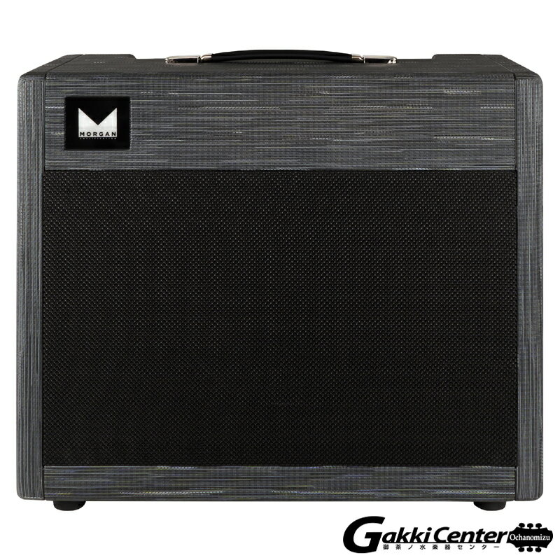 Morgan Amplification DUAL 20 Combo, Twilight