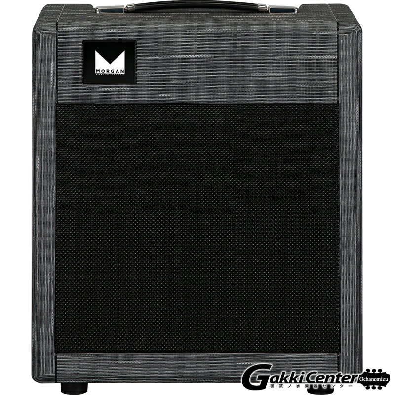 Morgan Amplification PR12 Combo Twilight