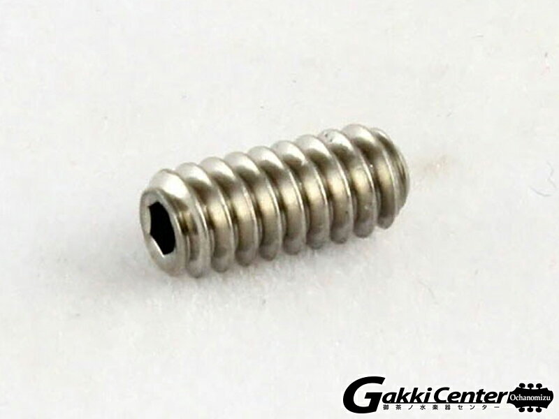 Allparts Stainless Bridge Height Screws For Telecaster/7579