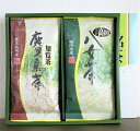 八女茶 ・ 鹿児島茶 各100g 2本詰 ギフト 茶葉 深蒸し 新茶 お茶 八女 知覧 煎茶 上級 特上 深蒸し茶