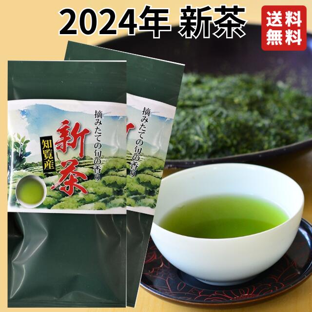 新茶 2024 鹿児島 知覧産 深蒸し はしり新茶 100g 2袋セット 今年の知覧新茶 鹿児島茶 茶葉 知覧茶 深蒸し煎茶 深蒸し茶 送料無料 新茶 の 時期 は いつ お茶 お茶っぱ お茶っ葉 深蒸し 煎茶 緑茶 茶葉 日本茶 お茶の葉 お茶葉