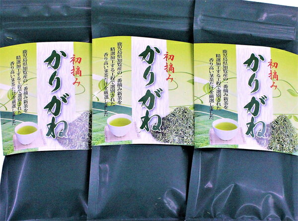 鹿児島 知覧産 初摘み かりがね 100g 3袋セット お茶 茶葉 新茶 知覧茶 送料無料 ランキング 2024年産新茶になりました