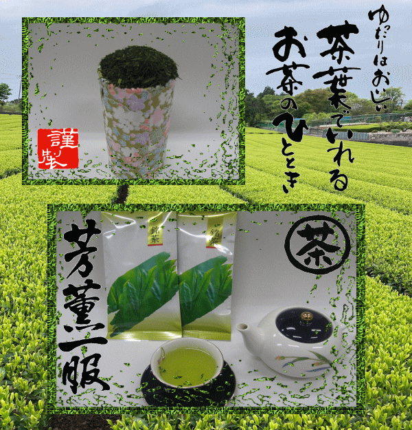 楽天まるたかのお茶屋さん【送料無料】お茶の詰め放題！店長がたっぷり200g以上詰めたお得な美味しいお茶tea！クリックポスト対応商品 代引き不可 商品代引きを使用する場合別途送料が掛かります 後ほど変更メールを送ります。お茶 茶葉 静岡茶 煎茶 お茶 緑茶　1100円　送料無料