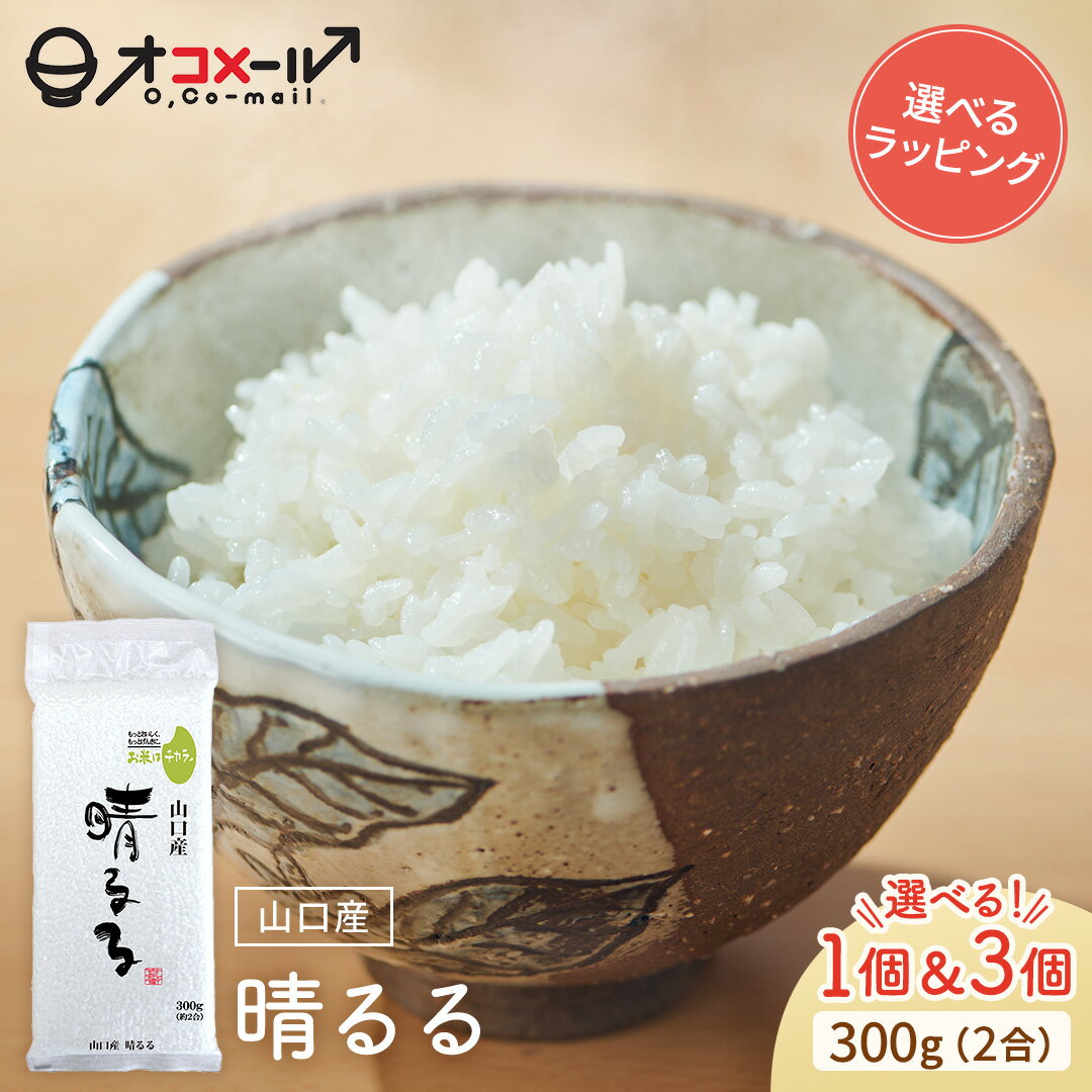 令和7年産(2025年) 山口産 晴るる 300g(2合) ×1個/3個 l 真空個 山口県 国産 お米 白米 オコメール ギフト プレゼント 送料無料
