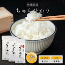 新米 令和7年(2025年) 産 沖縄産ちゅらひかり 白米300g(2合) × 3パック 真空パック l 真空パック 香川県 国産 お米 白米 オコメール ギフト プレゼント 送料無料