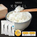 令和6年(2024年) 福岡産 元気つくし 300g(2合) × 3パック l 真空パック 福岡県 国産 お米 白米 オコメール ギフト プレゼント 送料無料