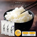令和6年(2024年) 魚沼産 こしひかり 300g(2合) × 3パック l 真空パック 魚沼 国産 お米 白米 オコメール ギフト プレゼント 送料無料