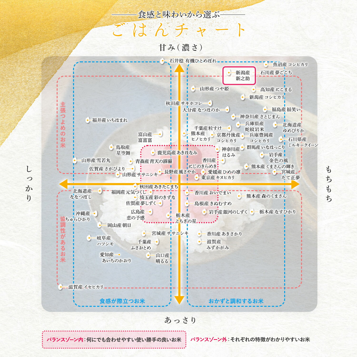 令和6年(2024年) 新潟産 新之助 300g(2合) × 3パック l 真空パック 新潟県 国産 お米 白米 オコメール ギフト プレゼント 送料無料