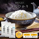 令和5年(2023年) 東京八王子産 きぬひかり 300g(2合) × 3パック l 真空パック 東京都 国産 お米 白米 オコメール ギフト プレゼント 送料無料