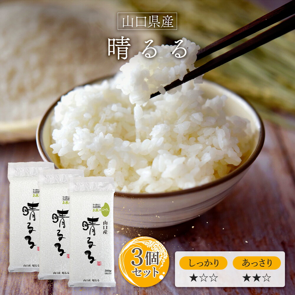 令和6年産(2024年) 山口産 晴るる 300g(2合) × 3パック l 真空パック 山口県 国産 お米 白米 オコメール ギフト プレゼント 送料無料