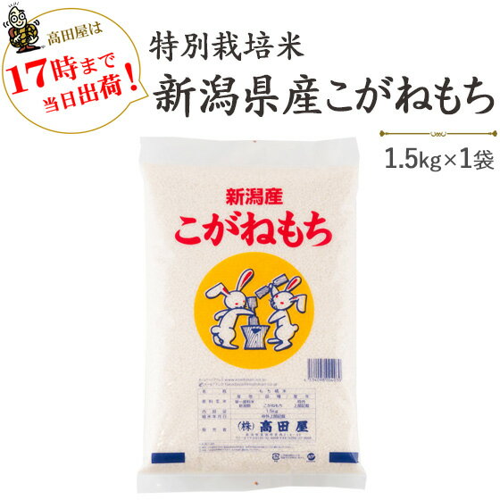 令和5年産　特別栽培米〔もち米〕新潟産こがねもち1.5kg