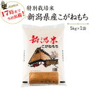 新潟県産 こがねもち もち米 令和3年産　10kg(5kg×2袋)