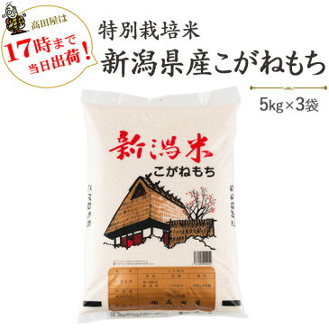 新米 令和2年産 特別栽培米〔もち米〕新潟産こがねもち5kg×3袋【送料無料】(一部地域を除く)