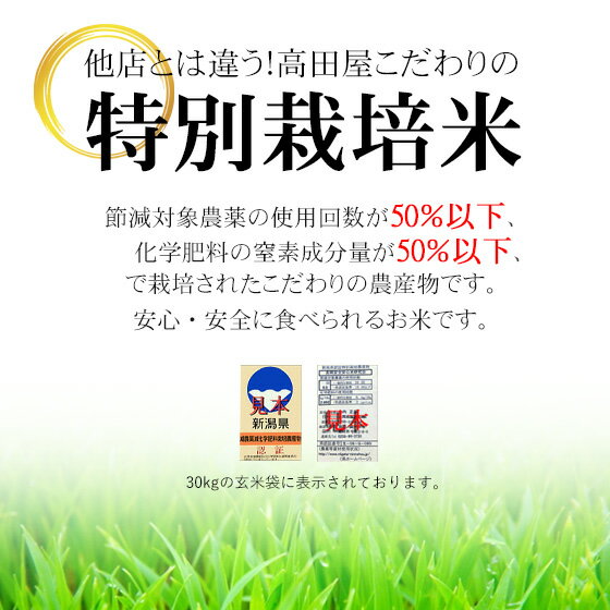 令和3年産 安心・安全【特別栽培米】新潟産「新之助」5kg　≪高田屋お買い得企画≫※送料無料(一部地域を除く)【あす楽対応_本州】【あす楽対応_関東】【あす楽対応_四国】