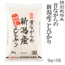 令和元年産特別栽培米昔ながらの新潟産こしひかり5kgx2袋【送料無料】(一部地域を除く)【あす楽対応_本州】【あす楽対応_関東】【あす楽対応_四国】