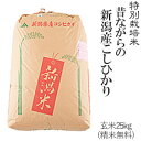 令和元年産新米発送！特別栽培米昔ながらの新潟産こしひかり玄米25kg/白米4.5kg×5袋(精米無料)送料無料(一部地域を除く)【あす楽対応_本州】【あす楽対応_関東】【あす楽対応_四国】