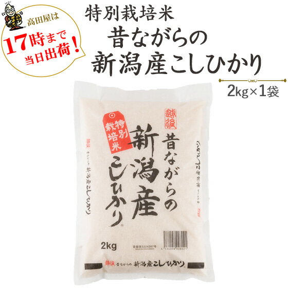 令和5年産特別栽培米昔ながらの新潟産こしひかり2kg【あす楽対応_本州】【あす楽対応_関東】【あす楽対応_四国】