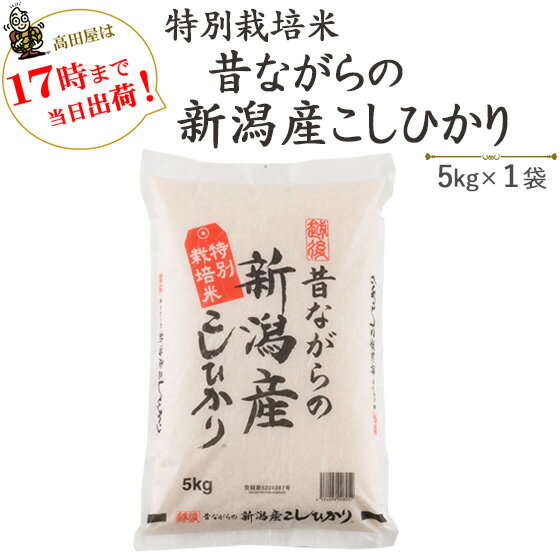 令和3年産　お米 5kg×1袋　特別栽培米　昔ながらの新潟産こしひかり 送料無料(一部地域を除く)あす楽対応産地直送！