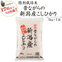 令和5年産 お米 5kg×1袋 白米 特別栽培米 昔ながらの新潟産こしひかり 送料無料(一部地域を除く)あす楽対応産地直送！