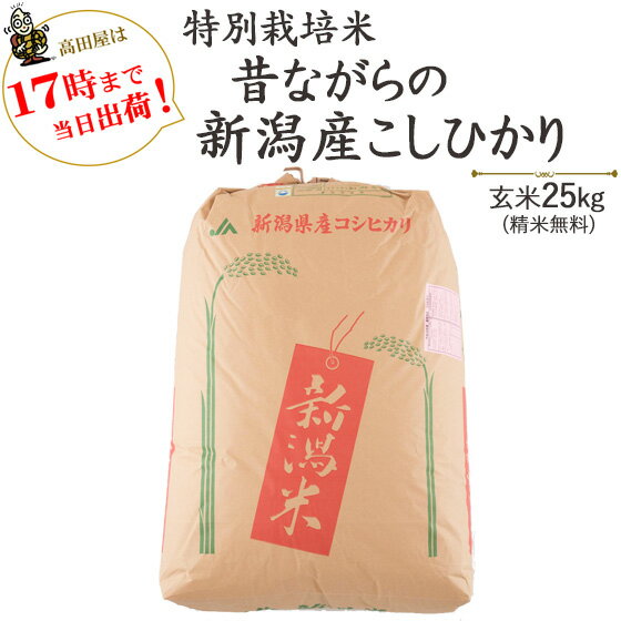 全国お取り寄せグルメ食品ランキング[あきたこまち（玄米）(31～60位)]第56位