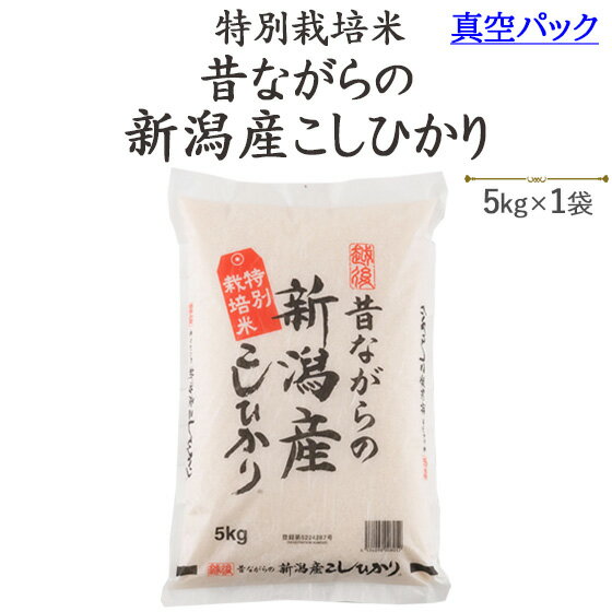 令和5年産真空パックで美味しさ長持ち♪特別栽培米昔ながらの新潟産こしひかり白米5kgx1袋【送料無料】※一部地域を除く