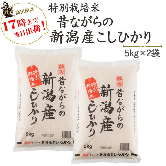 令和7年産　新米　特別栽培米昔ながらの新潟産こしひかり5kgx2袋袋【送料無料】(一部地域を除く)