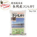 令和5年産≪高田屋お買い得企画≫特別栽培米長岡産コシヒカリ5kg×1袋【送料無料】(一部地域を除く)【あす楽対応_本州】【あす楽対応_関東】【あす楽対応_四国】