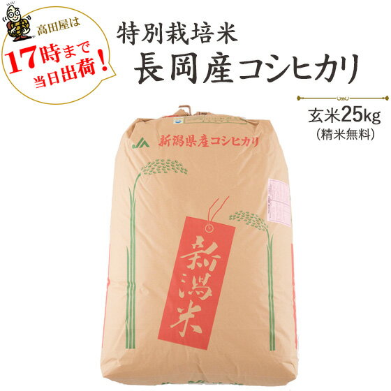 全国お取り寄せグルメ食品ランキング[その他（玄米）(91～120位)]第106位