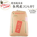 令和5年産 特別栽培米 長岡産コシヒカリ 玄米25kg/白米4.5kg×5袋 送料無料 