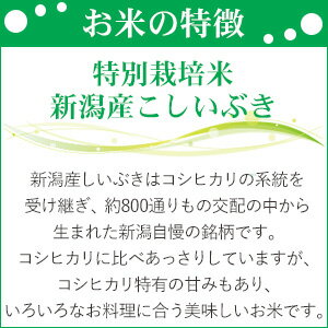 新米！【平成30年産】特別栽培米新潟産こしいぶき玄米25kg/白米4.5kg×5袋(精米無料)【送料無料】(一部地域を除く)【あす楽対応_本州】【あす楽対応_関東】【あす楽対応_四国】