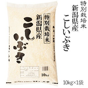 令和元年産特別栽培米新潟県産こしいぶき10kg×1袋【送料無料】(一部地域を除く)【あす楽対応_本州】【あす楽対応_関東】【あす楽対応_四国】