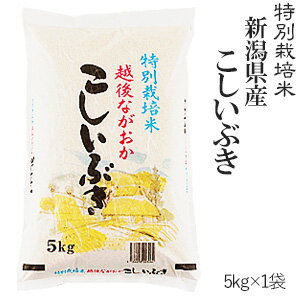 新米発送　令和元年産≪高田屋お買い得企画≫特別栽培米新潟県産こしいぶき5kg【送料無...