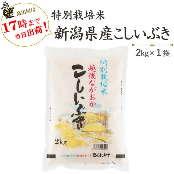 令和5年産　特別栽培米新潟県産こしいぶき2kg送料無料(一部地域を除く)【あす楽対応_本州】