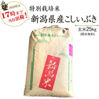 令和5年産 特別栽培米新潟産こしいぶき 玄米25kg/白米4.5kg×5袋(精米無料) 送料無...